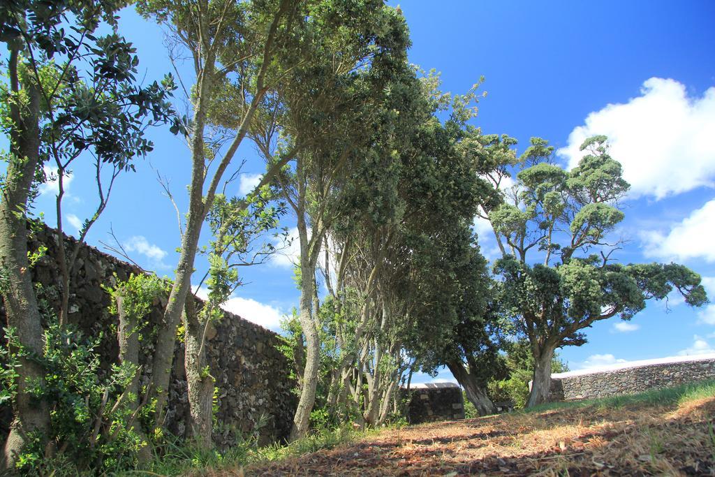 Santana Houses * Rabo de Peixe